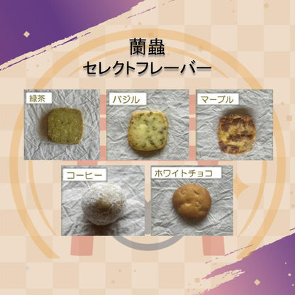 【蘭蟲】バーチャルKUMANO物産展